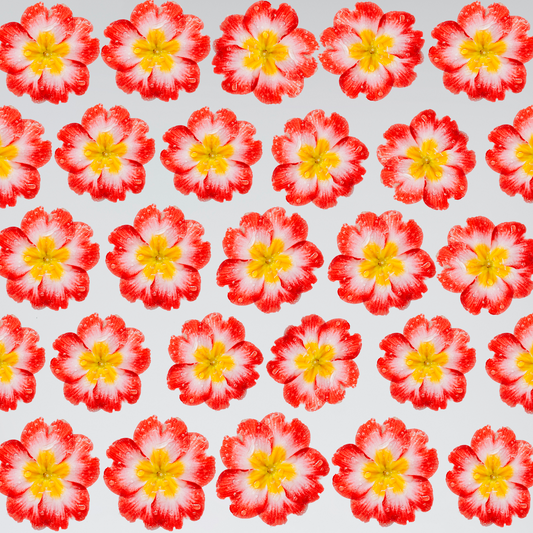 Fabric voucher no. 10